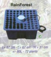 /album/photos/rainforest-jpg/